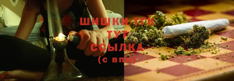 Бошки марихуана SATIVA & INDICA  как найти закладки  Галич 